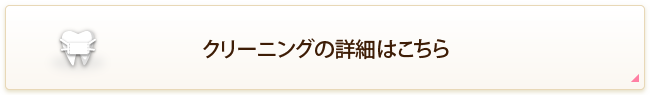 クリーニングの詳細はこちら